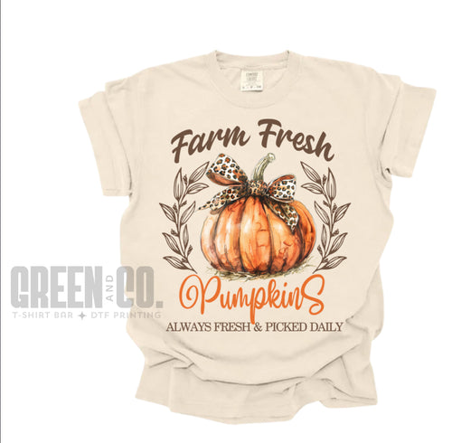 Sweatshirt + Tee Combo