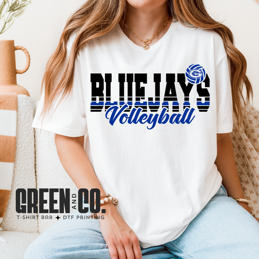 Bluejays Volleyball